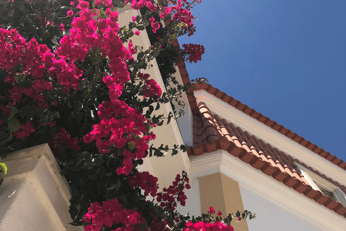 Building in Cascais