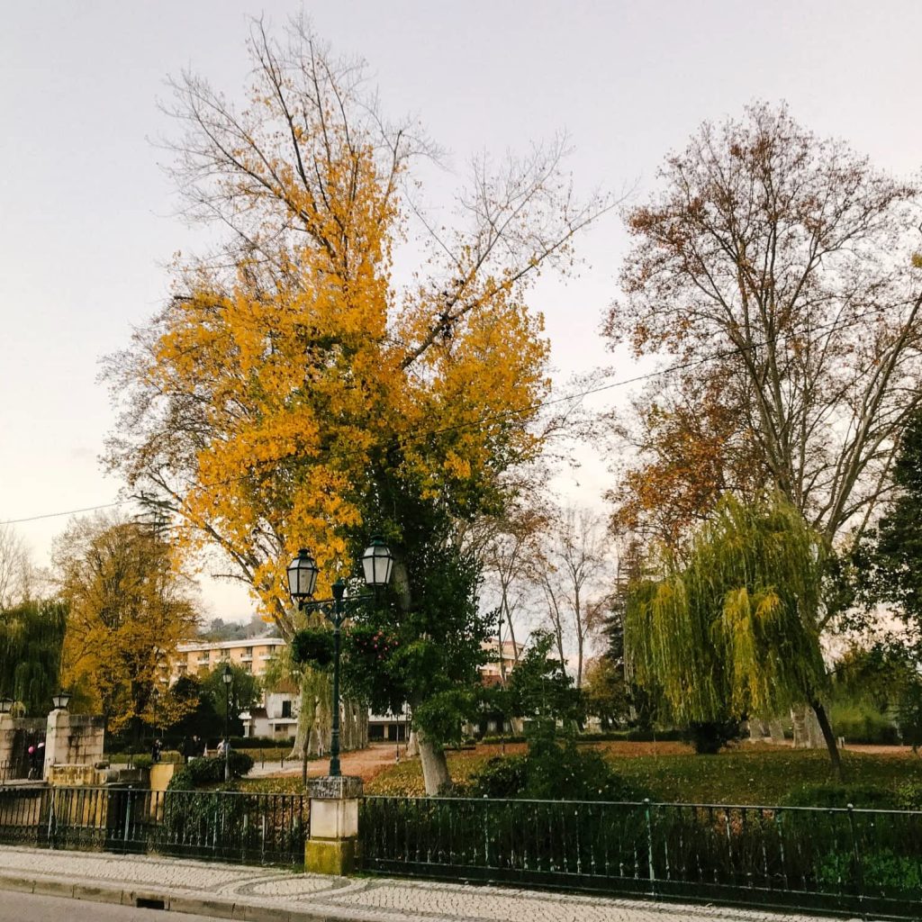 Autumn in Tomar