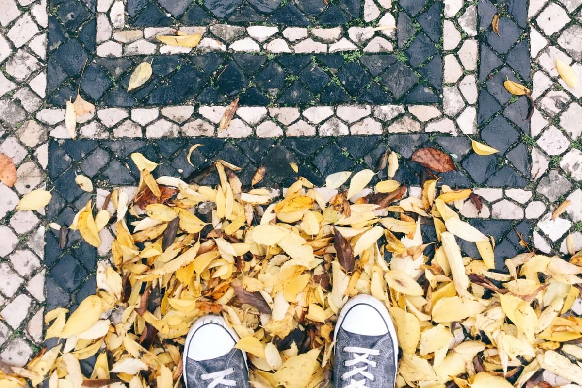 Autumn leaves on the Portuguese calçada in Avenida da Liberdade, Lisbon